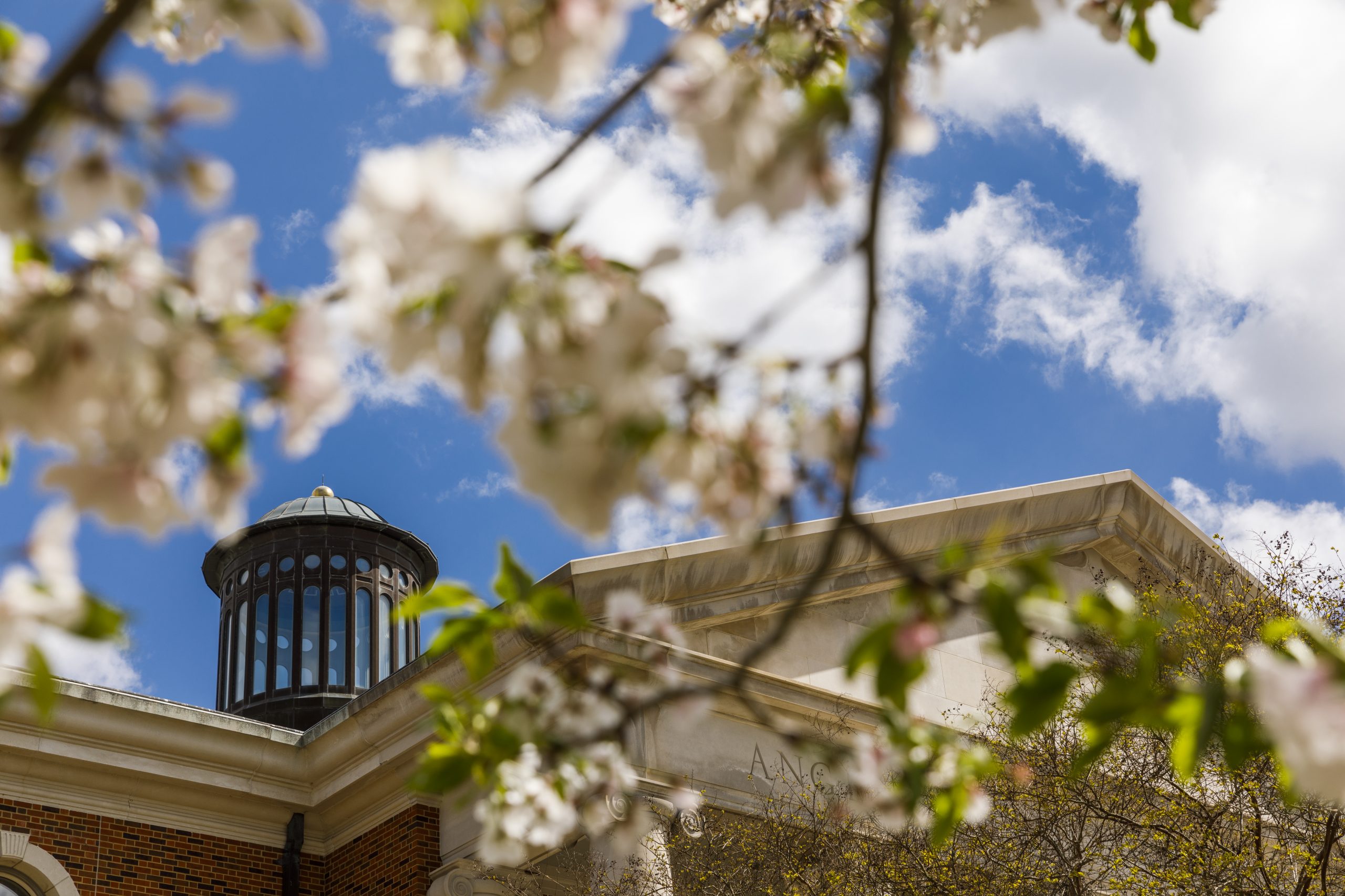 Resources & FAQs Student Services Resources & FAQs Student Services